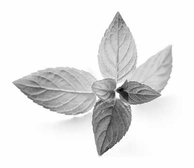 �ó涣ҧ��Ϳ�㱡��