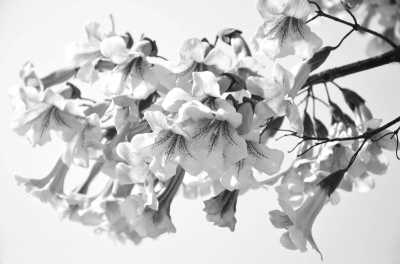 ���ţ�ͩ������ˮ