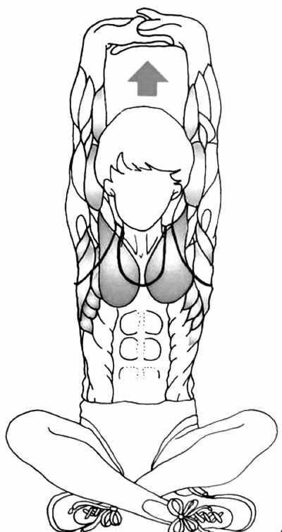 ûʱ���˶�������������