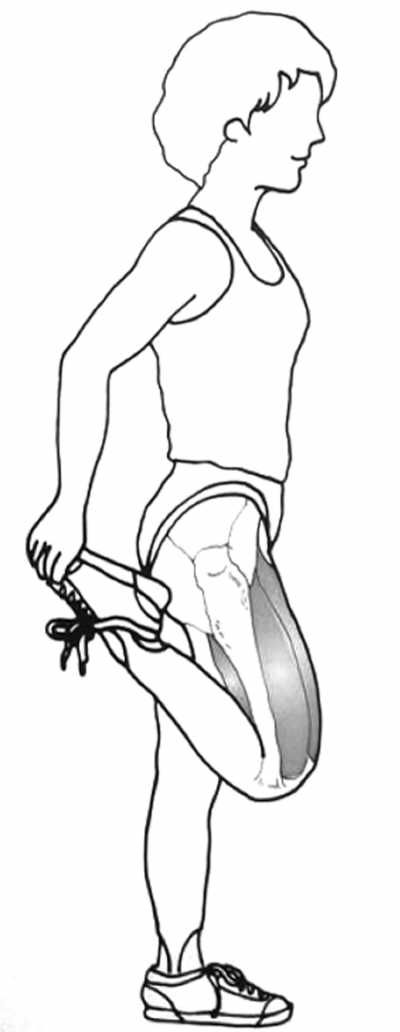 ûʱ���˶�������������