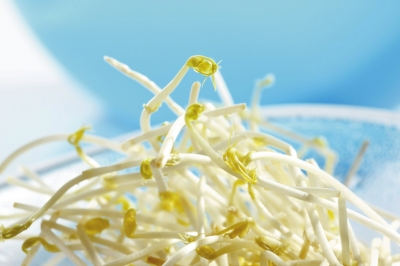 ����С��ӭսС��