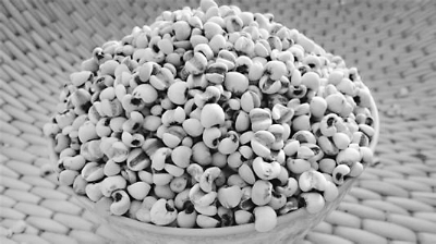 ޲�ʸ��� �𡰶���