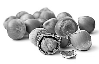 2013��ʵ��ʡǮ��������