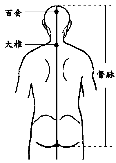 �����ſ�ɢ������