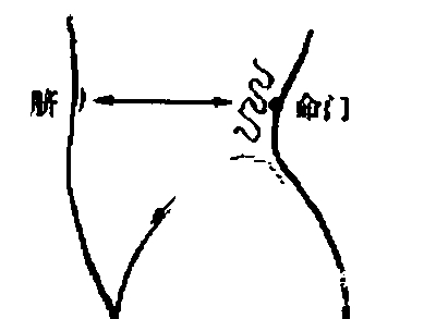 �����ſ�ɢ������