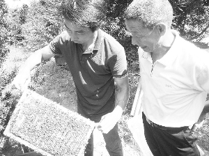 �����ۡ�����ҵĪ��ɬ