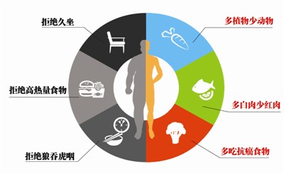 ���������������(��ϸ����)