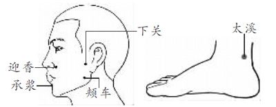 ����7Ѩ������