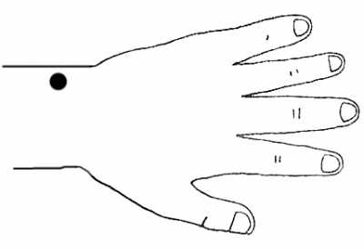 �����и�����Ѩ