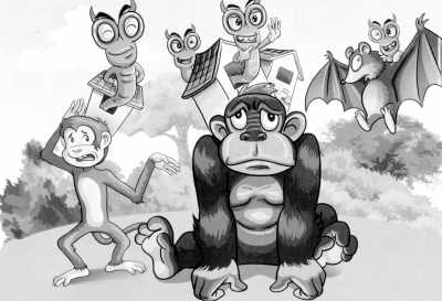 ���ܰ�����