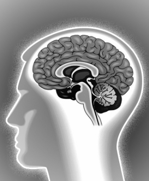 ����������ɭ�����߻ָ�ҩ�����ơ������ڡ�