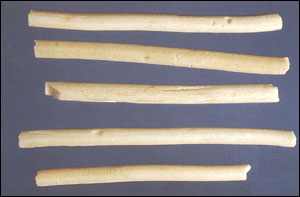 ��Сͨ�ݡ�ҩ��ͼ