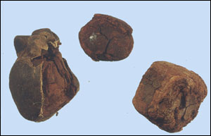 ��ţ�ơ�ҩ��ͼ