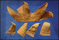 �����ٺ졿ҩ��ͼ