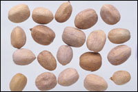 ���Ͷ���ҩ��ͼ