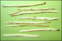 ����ɳ�Ρ�ҩ��ͼ