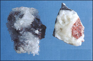 ����ɰ��ԭֲ��ͼ