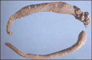 ����ɽ�Ρ�ҩ��ͼ