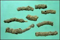 ��Զ־��ҩ��ͼ