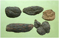 �������ڡ�ҩ��ͼ