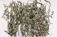 ���q�ҩ��ͼ