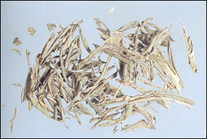 ����ɽ�졿ҩ��ͼ