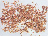 ����ʭ��ҩ��ͼ