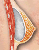 �������鷿���尲ȫ���������н��� 