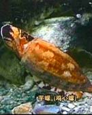 �������ݶ�ҺҲ����ʹ��ҩ