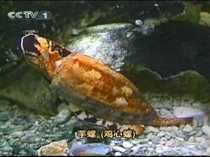 �������ݶ�ҺҲ����ʹ��ҩ