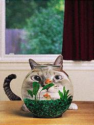 è�Ķ��ߺ���������(��ͼ)