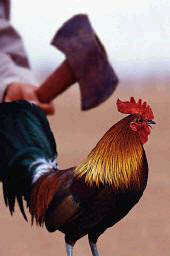 ����������(ͼ)