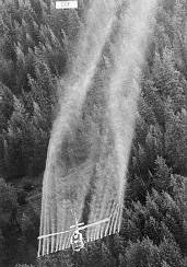 ���û�ѧɱ���(ͼ)