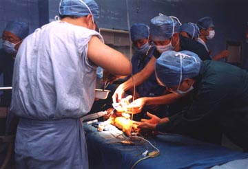 ��ͼ�����롰1ͷ2��4�ȡ�����Ӥ//