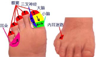 ͷ�ε��㲿��Ħ(ͼƬ)