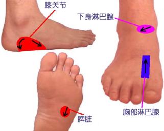 ��װ�Ħ����ϥ�ؽ���