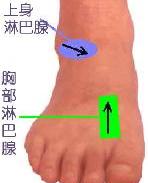 θ�׵��㲿��Ħ����(ͼƬ)