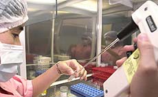 �˹�����