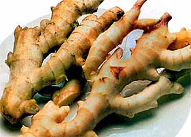 ����ԭ��