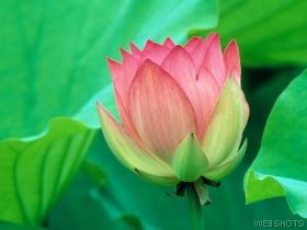 睡眠“黄金分割线” :一天睡多久才安心?