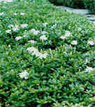 <B>���������</B>