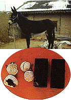 <BR><STRONG>�ϵ���</STRONG>