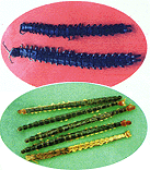 <BR><STRONG>�����Ȳ���</STRONG>