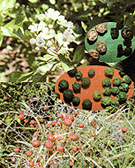 <BR><STRONG>������</STRONG>