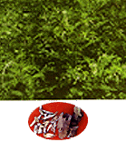 <BR><STRONG>�ΰ��裨ɢ��</STRONG>