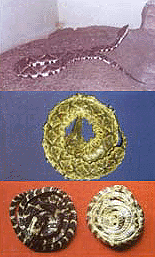 <BR><STRONG>������</STRONG>