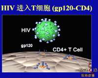 防治艾滋病的关键措施