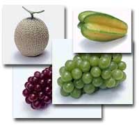 病人吃水果有讲究