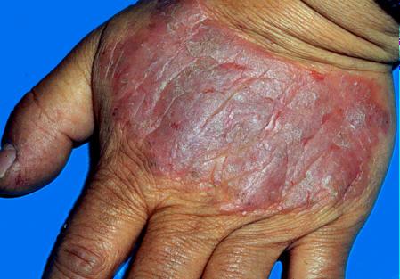 ����ʪ��2//