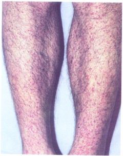 ���������//